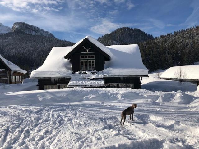 Die Alte Blaa Altaussee Exteriör bild