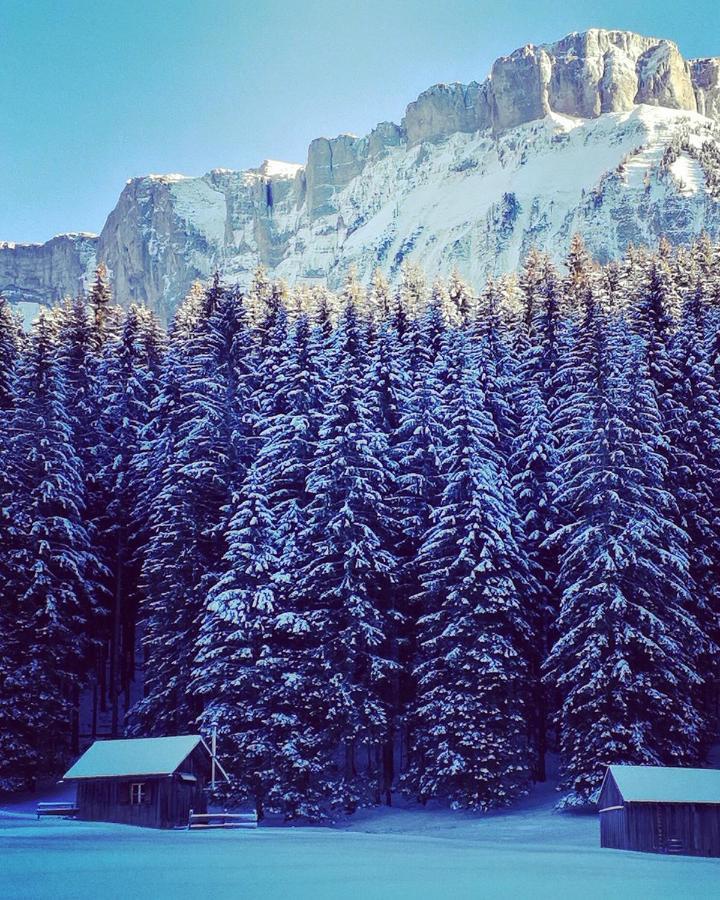 Die Alte Blaa Altaussee Exteriör bild